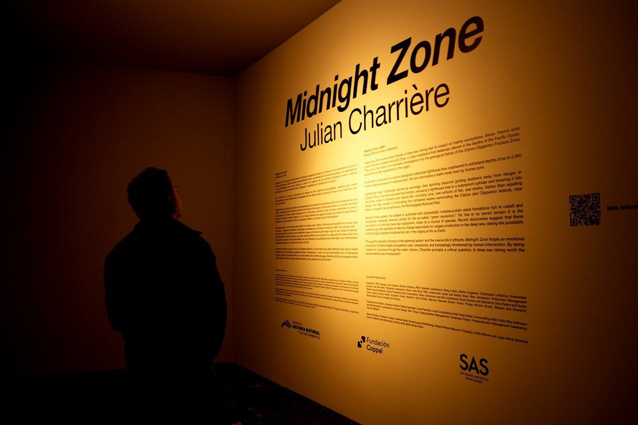 Midnight Zone: Una pieza de video artística instalada en el Museo de Historia Natural 