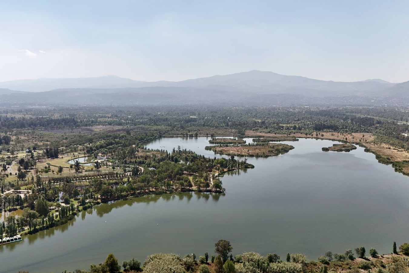 Parque Ecológico Xochimilco: Refugio de aves migratorias y espacio de conservación