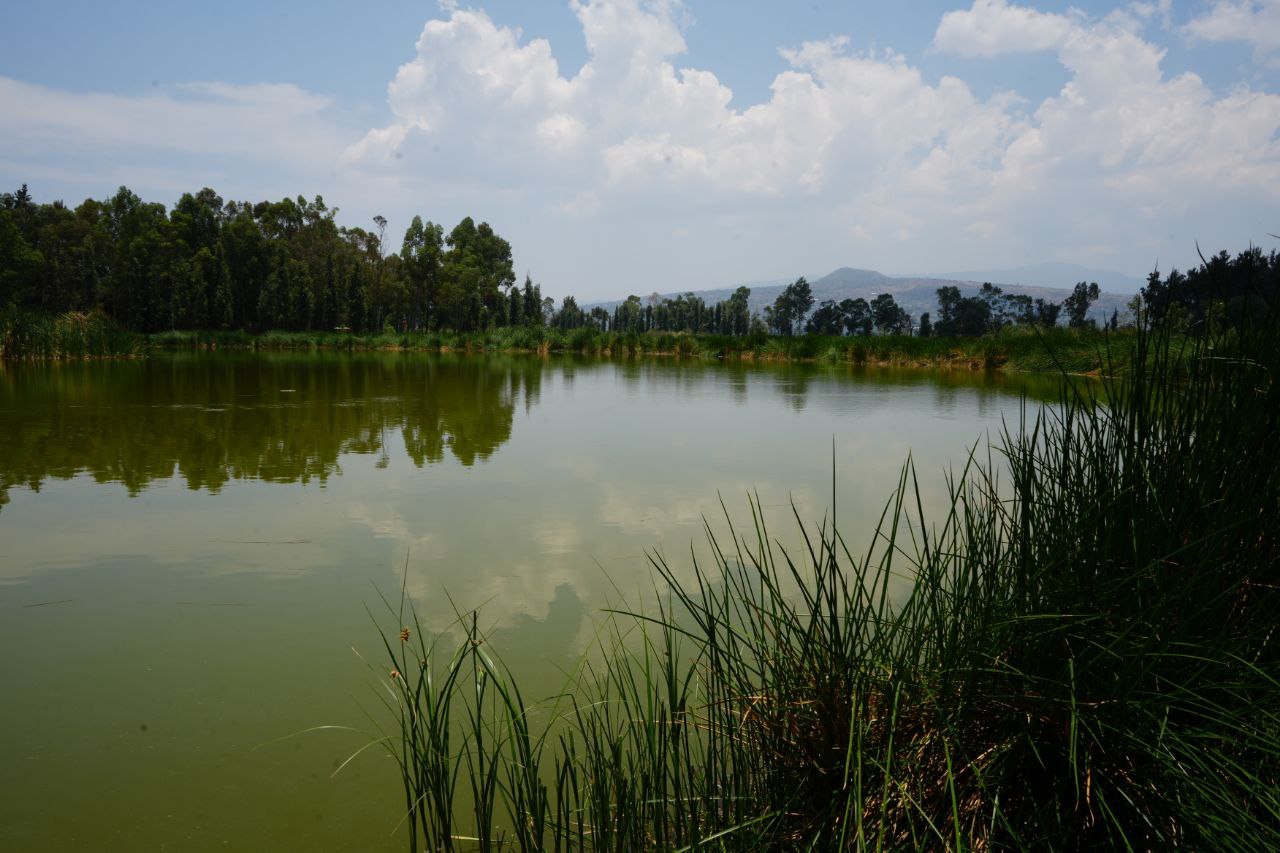 Primer aniversario del Bosque de Tláhuac como Área Natural Protegida