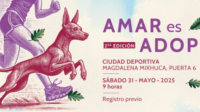 No te pierdas la carrera “Amar es Adoptar”; el registro es gratis