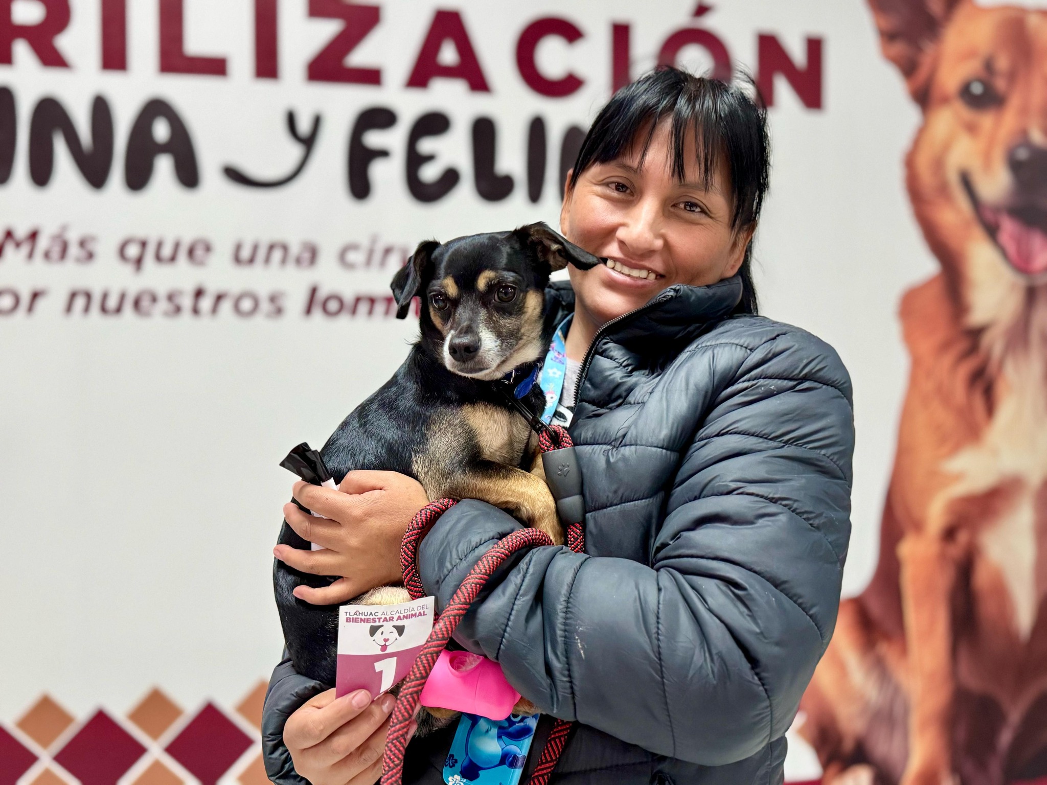 Tláhuac rompe récord: ¡es la número uno en esterilización de lomitos y michis en CDMX!